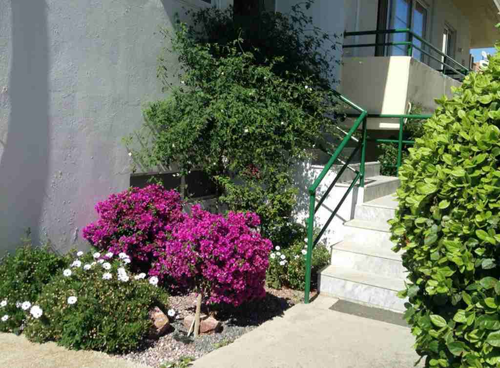 Anita Aparthotel Ialysos  Exterior foto